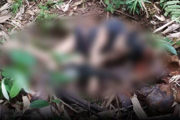 3 NPA members died, 2 surrender in series of encounters in Surigao del Norte